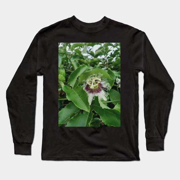 passion fruit flower, green leaves, plant photograph Long Sleeve T-Shirt by MarJul